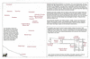 mal43 acapulco 2_thumb.gif